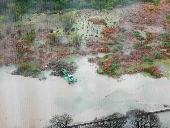 Coipos/Coypu Pond