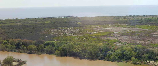 Gaviotas/Gull Pond