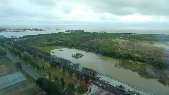 Coipos/Coypu Pond