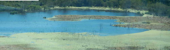 Gaviotas/Gull Pond