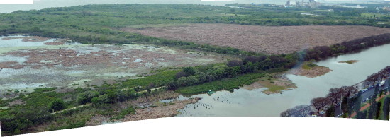 Lagunas/Ponds