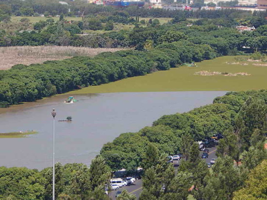 Coipos/Coypu Pond