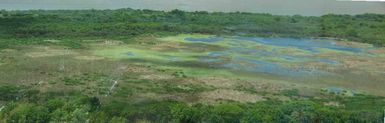 Gaviotas/Gull Pond