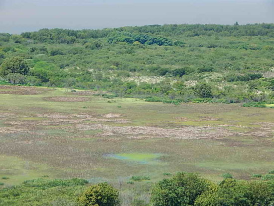 Gaviotas/Gull Pond