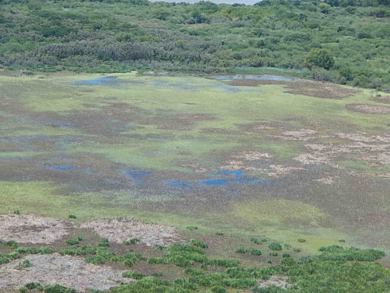 Laguna Gaviotas/Gull Pond