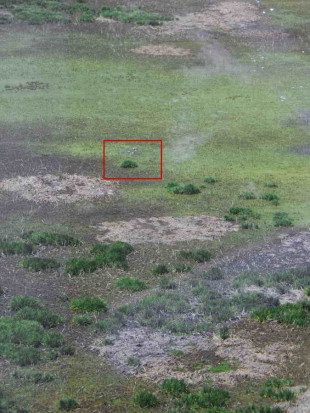 Laguna Gaviotas/Gull Pond