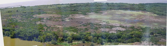 Gaviotas/Gull Pond