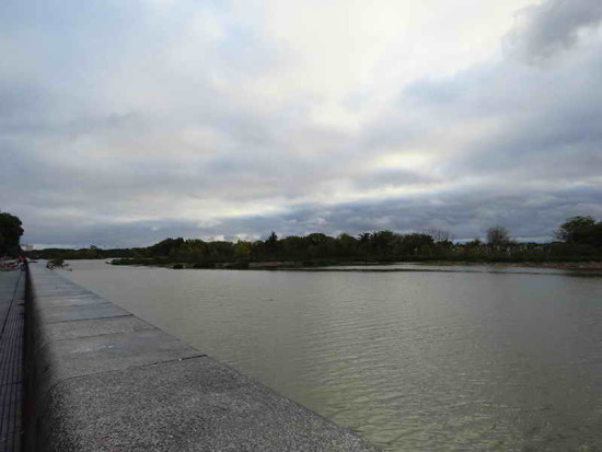 Laguna de Coipos/Coypu Pond