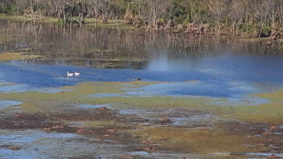 Laguna de las Gaviotas/Gull Pond