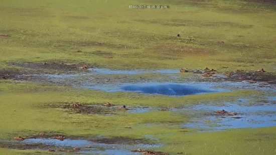 Laguna de las Gaviotas/Gull Pond