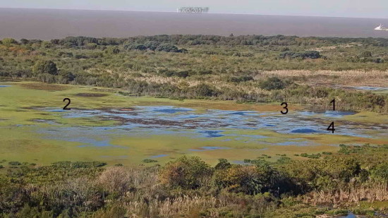 Laguna de las Gaviotas/Gull Pond