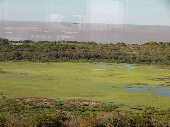 Gaviotas/Gull Pond