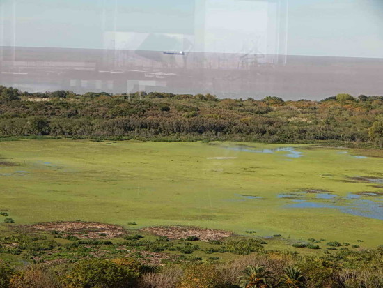 Gaviotas/Gull Pond