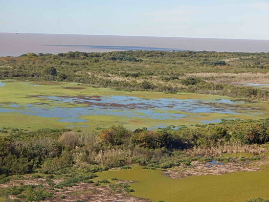 Lagunas/Ponds