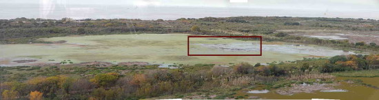 Laguna de las Gaviotas/Gull Pond