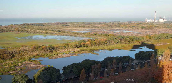 Lagunas/Ponds