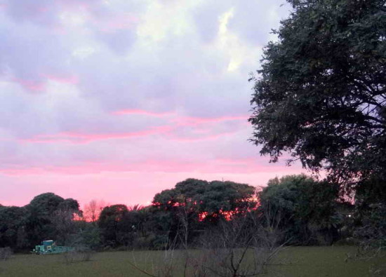 Vista de Coipos/View of Coypu Pond