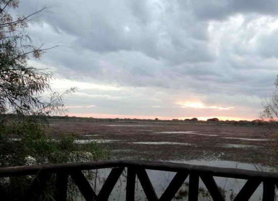 Vista de Patos/View of Duck Pond