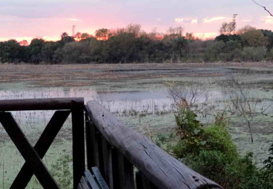 Vista de Patos/View of Duck Pond