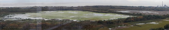 Laguna de las Gaviotas/Gull Pond