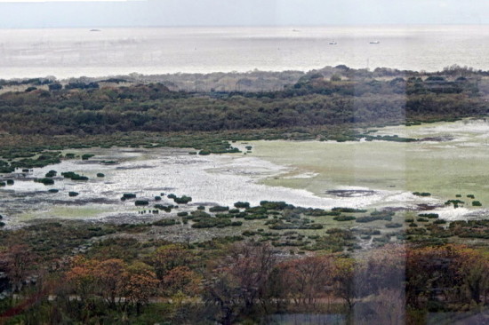 Laguna de las Gaviotas/Gull Pond