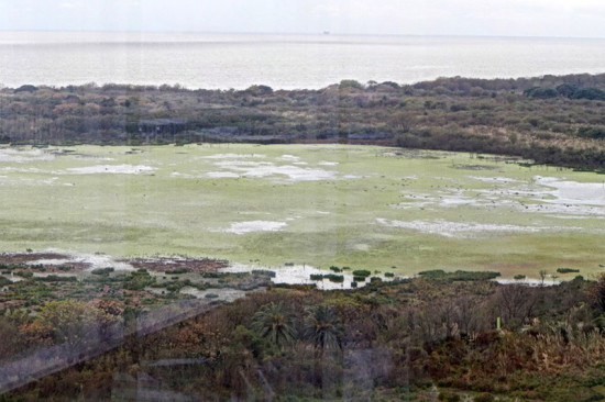 Laguna de las Gaviotas/Gull Pond