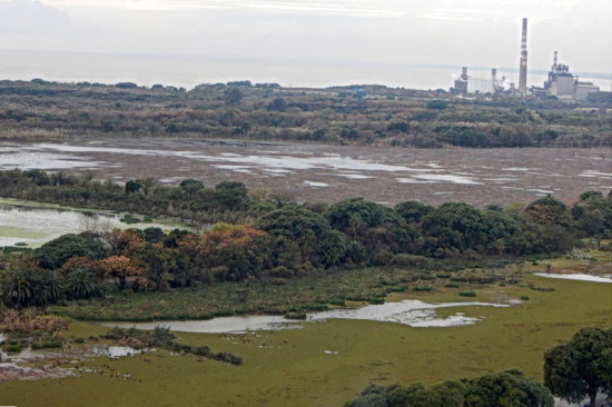 Laguna de las Gaviotas/Gull Pond