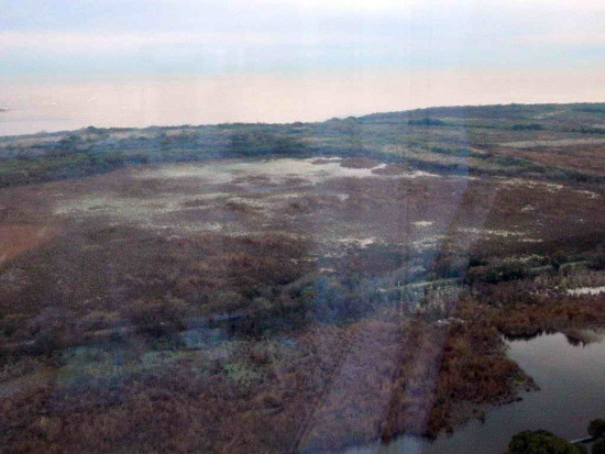 Lag Gaviotas/Gull Pond