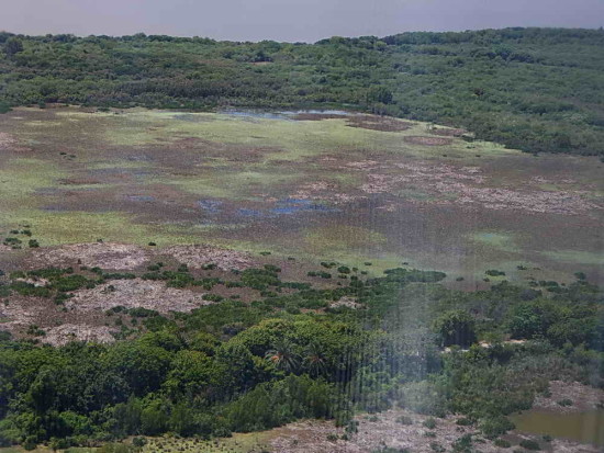 Gaviotas/Gull Pond