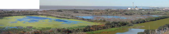 Lagunas/Ponds