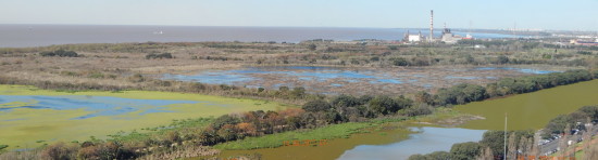 Panorámica/Panoramic view