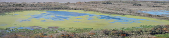 Panorámica/Panoramic view