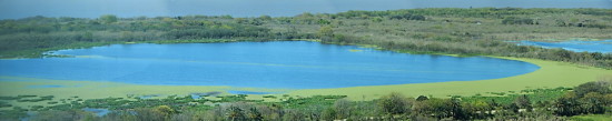 Gaviotas/Gull Pond