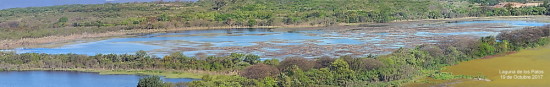 Laguna de los Patos/Duck Pond