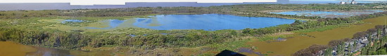 Laguna de las Gaviotas/Gull Pond