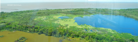 Laguna de las Gaviotas/Gull Pond