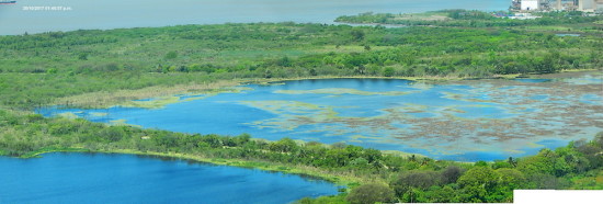 Laguna de los Patos/Duck Pond