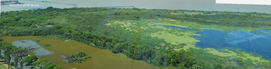 Gaviotas Coipos/Gull and Coypu Ponds