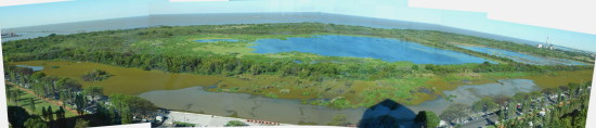 Gaviotas Coipos/Gull and Coypu Ponds