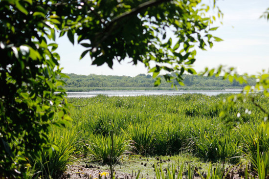 Laguna de las Gaviotas/Gull Pond