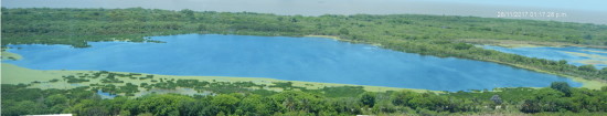 Gaviotas/Gull Pond