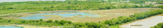 Laguna de los Patos/Duck Pond