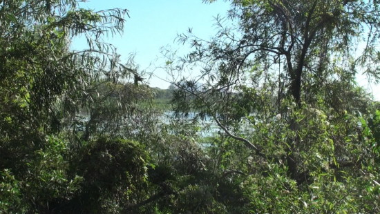 Laguna Gaviotas/Gull Pond