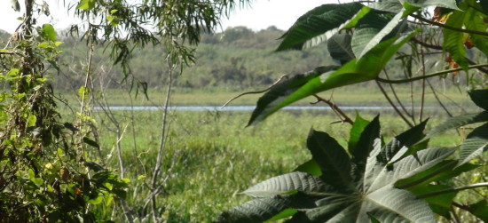 Laguna de las Gaviotas/Gull Pond